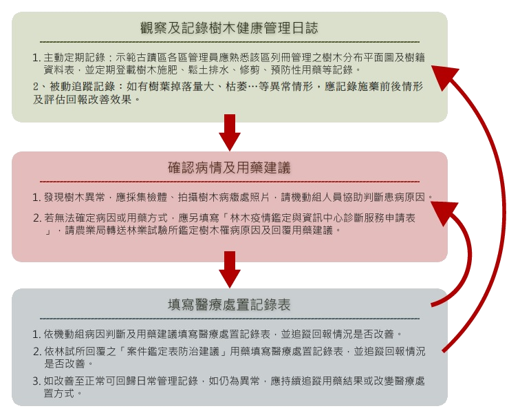 古蹟區重要樹木病蟲害防治流程SOP圖